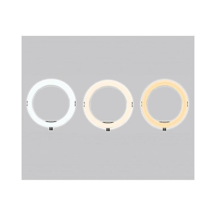 Agfaphoto 11" Bluetooth LED Desktop Ring Light for Smartphones